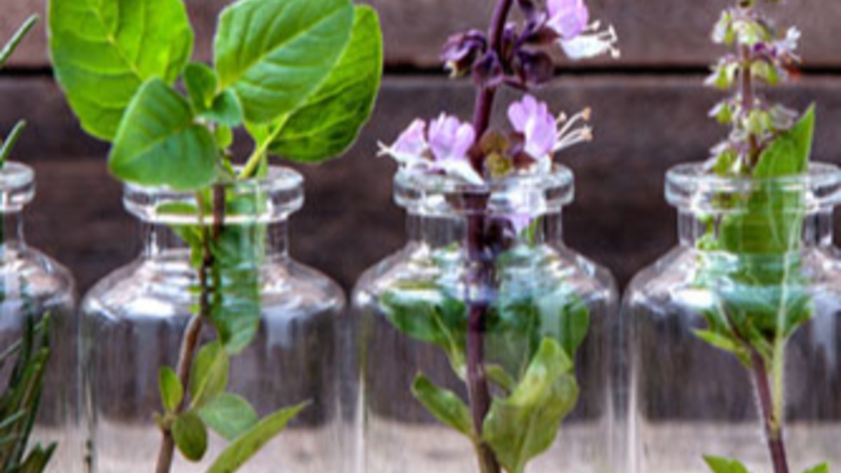 Co-designing nature-based solutions and reimagining sustainability education for regenerative futures.